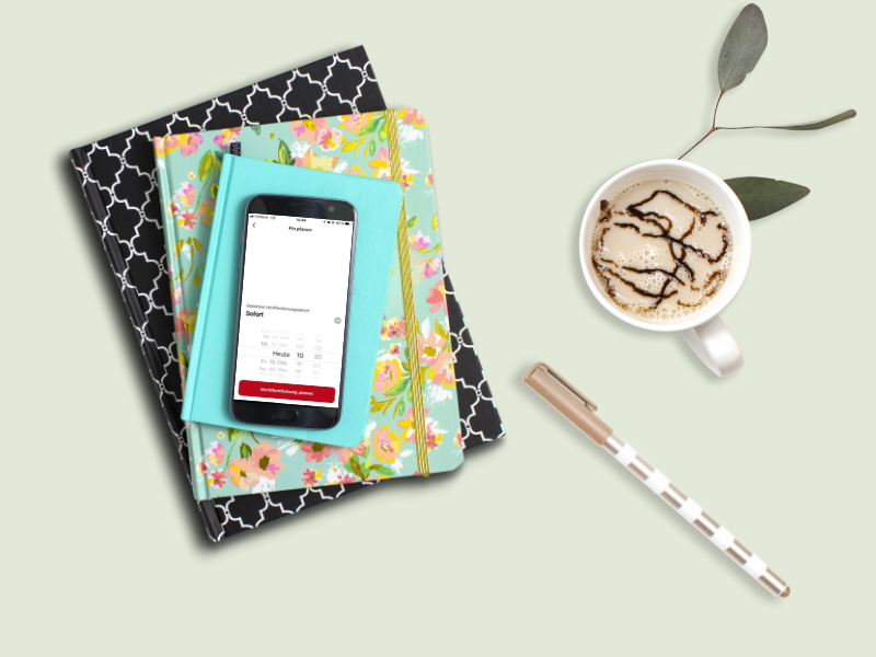 Pins in Pinterest vorplanen