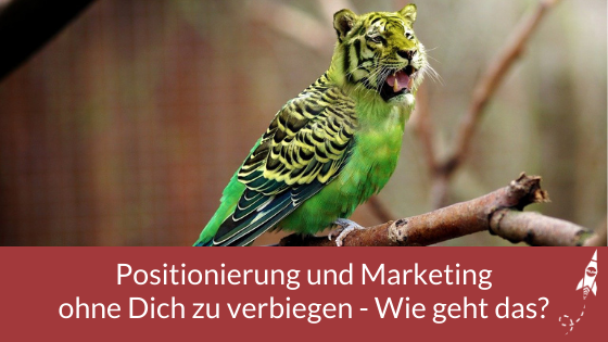Wie positioniere ich mich auf Pinterest? 3