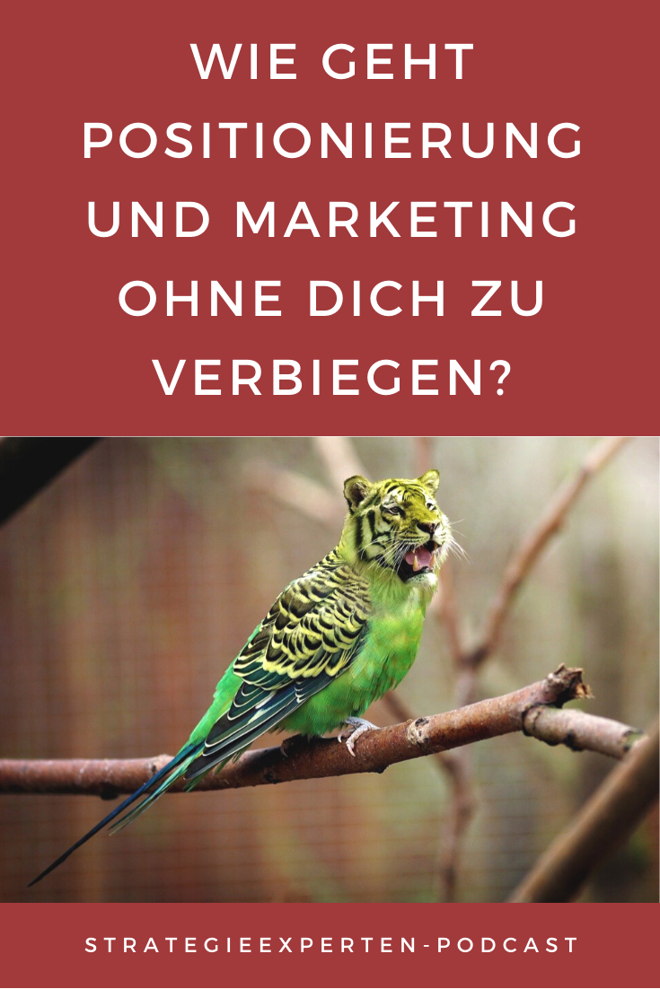 Wie positioniere ich mich auf Pinterest? 4