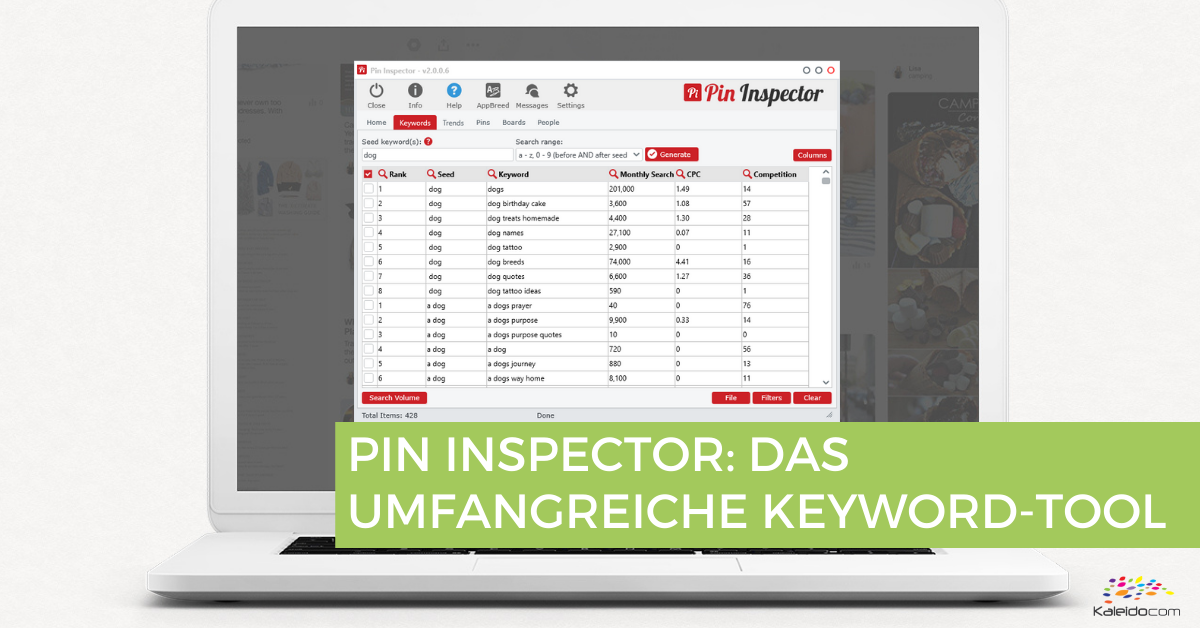 Pinterest Keyword-Tool für schnelle Recherchen 1